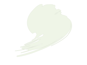 HTK-B049-10ml Insignia White (FS17875, ANA 511)