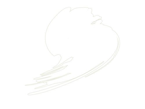 B101.png