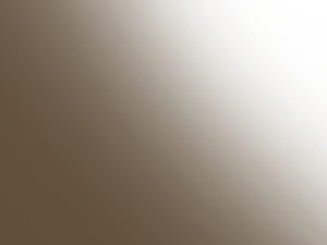 HTK-Q006 Earth Brown