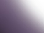 HTK-Q007 Purple
