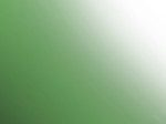 HTK-Q008 Green