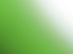 HTK-Q016 Toxic Green