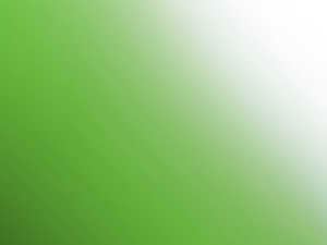 HTK-Q016 Toxic Green