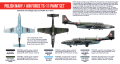 HTK-AS46 Polish Navy / Air Force TS-11 paint set